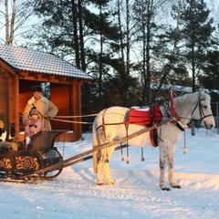 Парк-отель Николо-поле, Черноголовка, Московская область