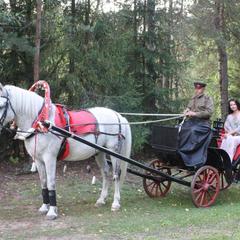 Парк-отель Николо-поле, Черноголовка, Московская область