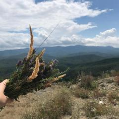 База отдыха Дербенка, Северский район, Краснодарский край