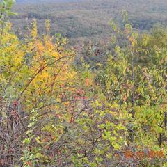 База отдыха Дербенка, Северский район, Краснодарский край