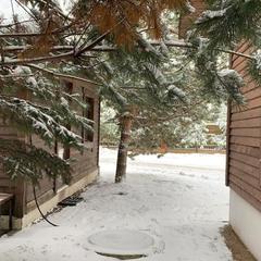 Комплекс отдыха Ивановское, Черноголовка, Московская область