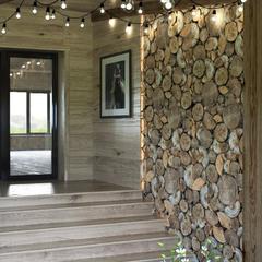 Комплекс отдыха Ивановское, Черноголовка, Московская область