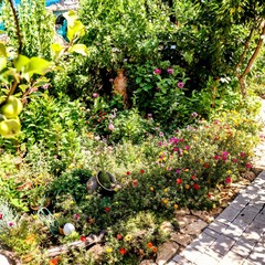 Усадьба Рыцаря Эдварда Остера. Дом дракона, Черноморское, Крым