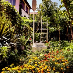 Усадьба Рыцаря Эдварда Остера. Дом дракона, Черноморское, Крым