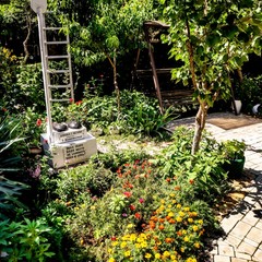 Усадьба Рыцаря Эдварда Остера. Дом дракона, Черноморское, Крым