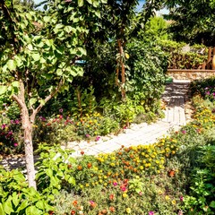 Усадьба Рыцаря Эдварда Остера. Дом дракона, Черноморское, Крым