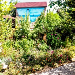 Усадьба Рыцаря Эдварда Остера. Дом дракона, Черноморское, Крым