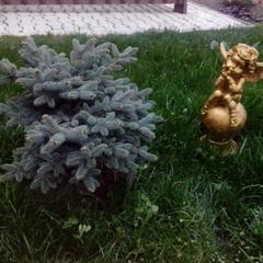 Гостевой дом Королевич, Черняховск, Калининградская область