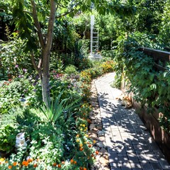 Усадьба Рыцаря Эдварда Остера. Дом дракона, Черноморское, Крым