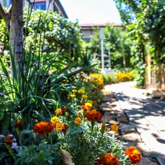 Усадьба Рыцаря Эдварда Остера. Дом дракона, Черноморское, Крым