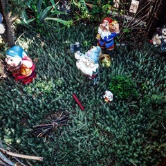 Усадьба Рыцаря Эдварда Остера. Дом дракона, Черноморское, Крым