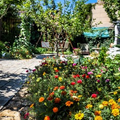 Усадьба Рыцаря Эдварда Остера. Дом дракона, Черноморское, Крым