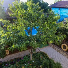 Усадьба Рыцаря Эдварда Остера. Дом дракона, Черноморское, Крым