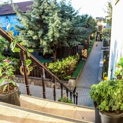 Усадьба Рыцаря Эдварда Остера. Дом дракона, Черноморское, Крым