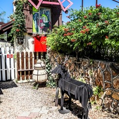 Усадьба Рыцаря Эдварда Остера. Дом дракона, Черноморское, Крым