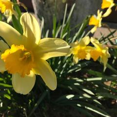 Дом отдыха Homely, Чехов, Московская область