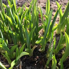 Дом отдыха Homely, Чехов, Московская область