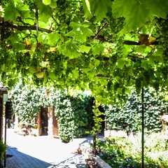 Усадьба Рыцаря Эдварда Остера. Дом дракона, Черноморское, Крым