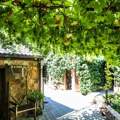 Усадьба Рыцаря Эдварда Остера. Дом дракона, Черноморское, Крым