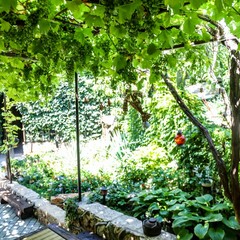 Усадьба Рыцаря Эдварда Остера. Дом дракона, Черноморское, Крым