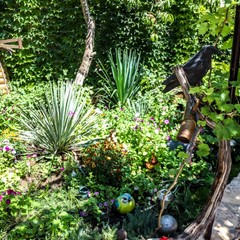 Усадьба Рыцаря Эдварда Остера. Дом дракона, Черноморское, Крым