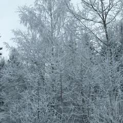 Дом отдыха Homely, Чехов, Московская область