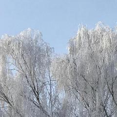 Дом отдыха Homely, Чехов, Московская область