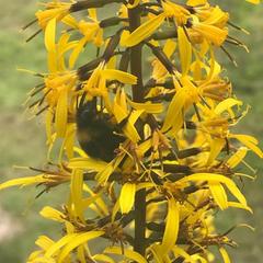 Дом отдыха Homely, Чехов, Московская область