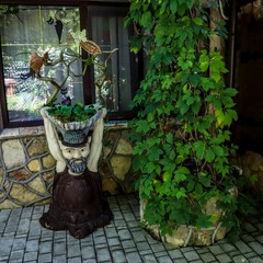 Усадьба Рыцаря Эдварда Остера. Дом дракона, Черноморское, Крым