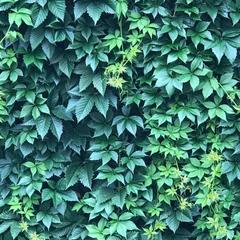 Дом отдыха Homely, Чехов, Московская область