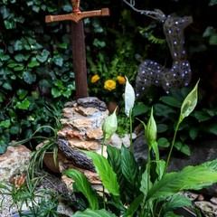 Усадьба Рыцаря Эдварда Остера. Дом дракона, Черноморское, Крым