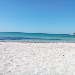 Усадьба Рыцаря Эдварда Остера. Дом дракона, Черноморское, Крым