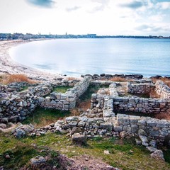 Усадьба Рыцаря Эдварда Остера. Дом дракона, Черноморское, Крым