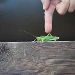 Центр отдыха Ангел, Черняховск, Калининградская область