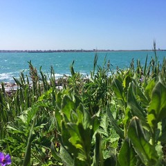 Усадьба Рыцаря Эдварда Остера. Дом дракона, Черноморское, Крым