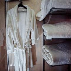 Отель Меридиан, Чехов, Московская область