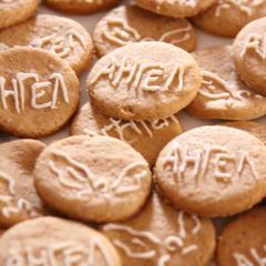 Центр отдыха Ангел, Черняховск, Калининградская область