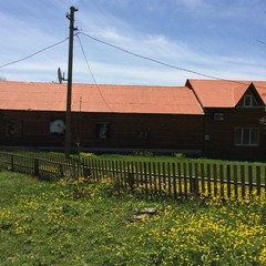 База отдыха Каштановая роща, Шабановское, Краснодарский край