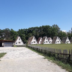 База отдыха Каштановая роща, Шабановское, Краснодарский край