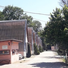 База отдыха Каштановая роща, Шабановское, Краснодарский край