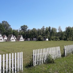 База отдыха Каштановая роща, Шабановское, Краснодарский край