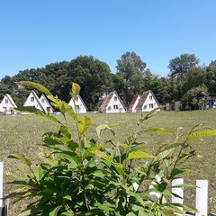 База отдыха Каштановая роща, Шабановское, Краснодарский край