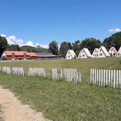 База отдыха Каштановая роща, Шабановское, Краснодарский край