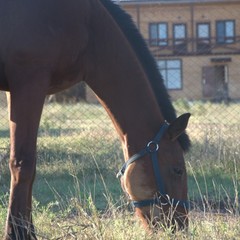  Рыболовная база Донгар, Чулпан, Астраханская область