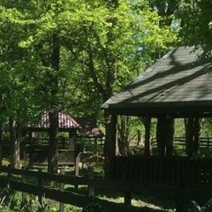 База активного отдыха Кленовик, Шапсугская, Краснодарский край