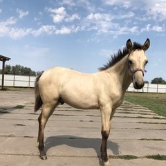  Рыболовная база Донгар, Чулпан, Астраханская область