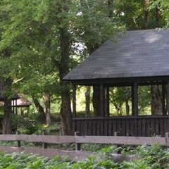 База активного отдыха Кленовик, Шапсугская, Краснодарский край