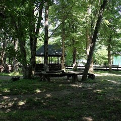 База активного отдыха Кленовик, Шапсугская, Краснодарский край