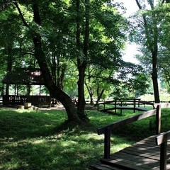 База активного отдыха Кленовик, Шапсугская, Краснодарский край