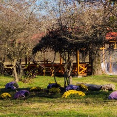 База отдыха Светлячок, Шапсугская, Краснодарский край